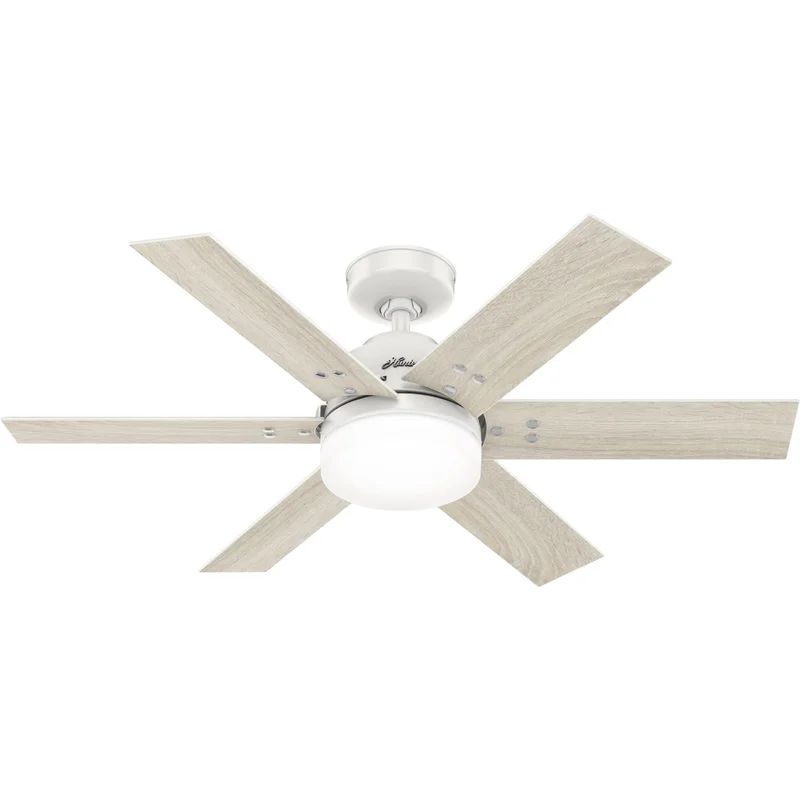 44" Pacer 6 - Blade Ceiling Fan with Remote Control and Light Kit Included | Wayfair North America