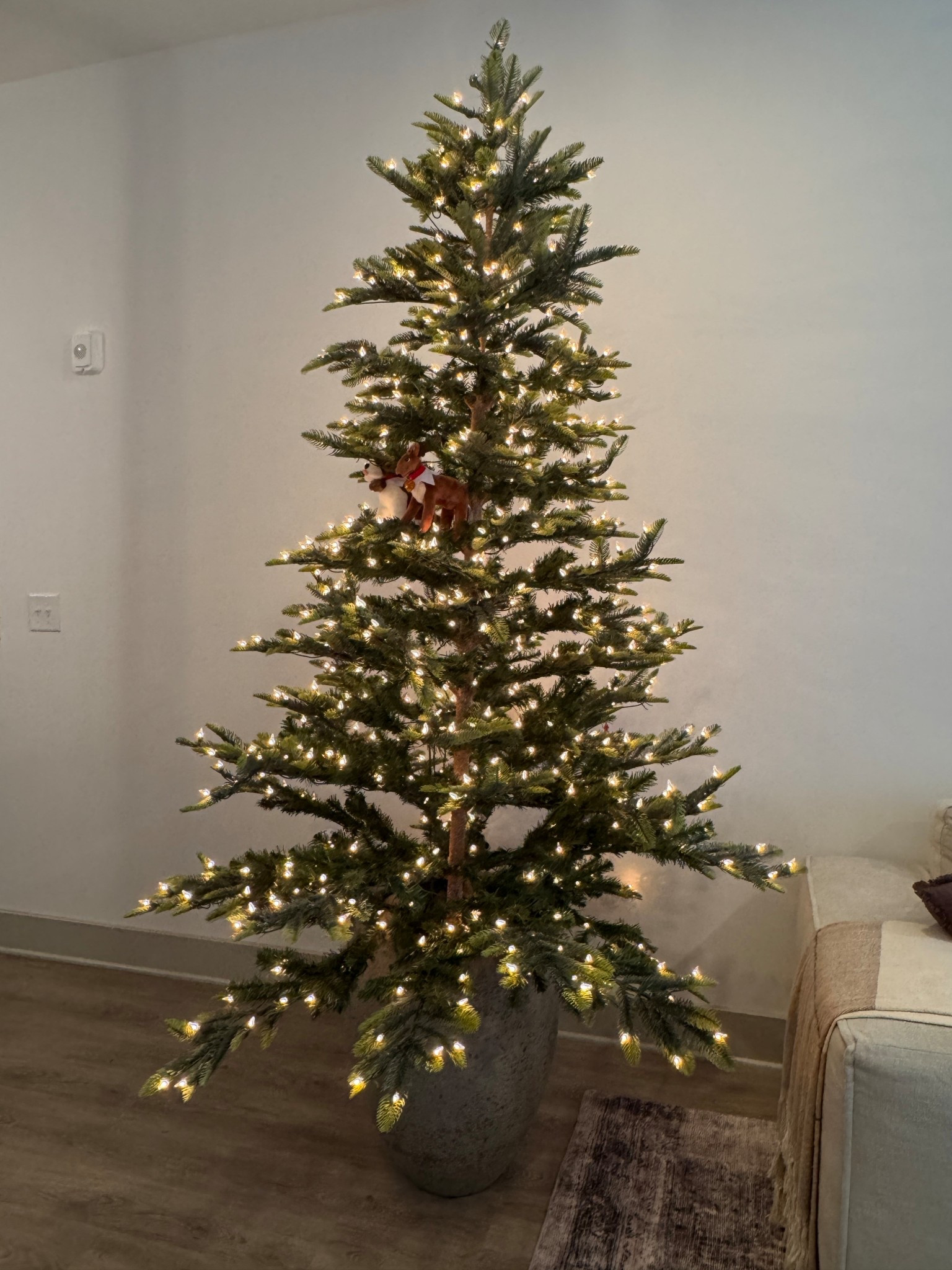 This gorgeous tree just arrived! It’s perfect for our space. 7.5ft love it 😍

#LTKHome #LTKHoliday #LTKSeasonal