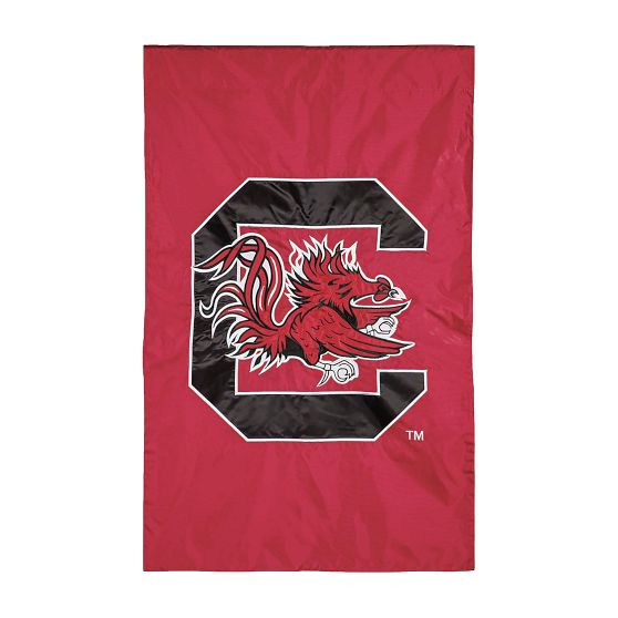 College Logo Appliqué Flag | Pottery Barn Teen