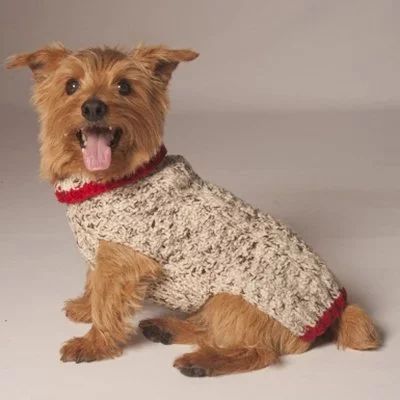 Chilly Dog Oatmeal Cable Knit with Red Trim Dog Sweater | Walmart (US)