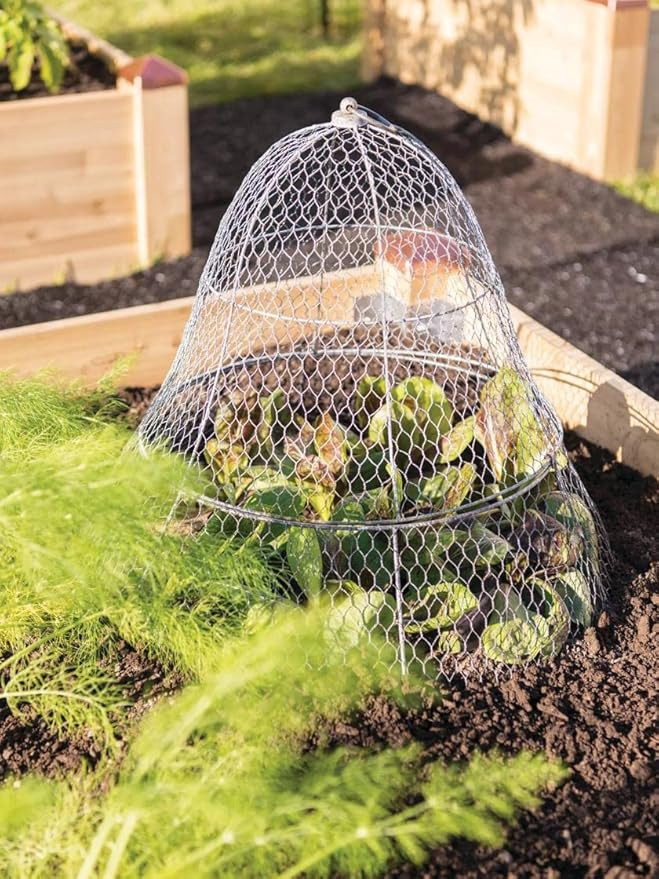 Gardener's Supply Company Sturdy Chicken Wire Cloche Plant Protector & Cover | Sturdy Metal Cage ... | Amazon (US)