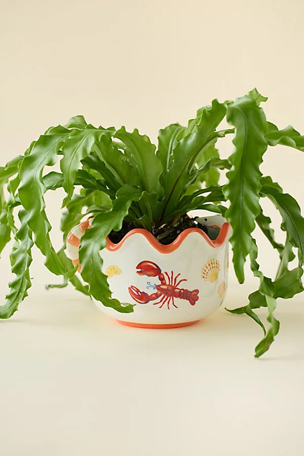 Lobster Dinner Scalloped Ceramic Planter | Urban Outfitters (US and RoW)