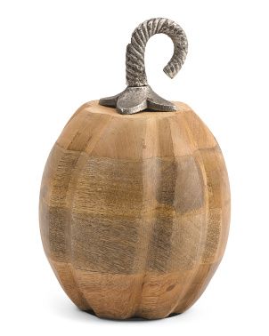 Natural Pumpkin With Stem | TJ Maxx