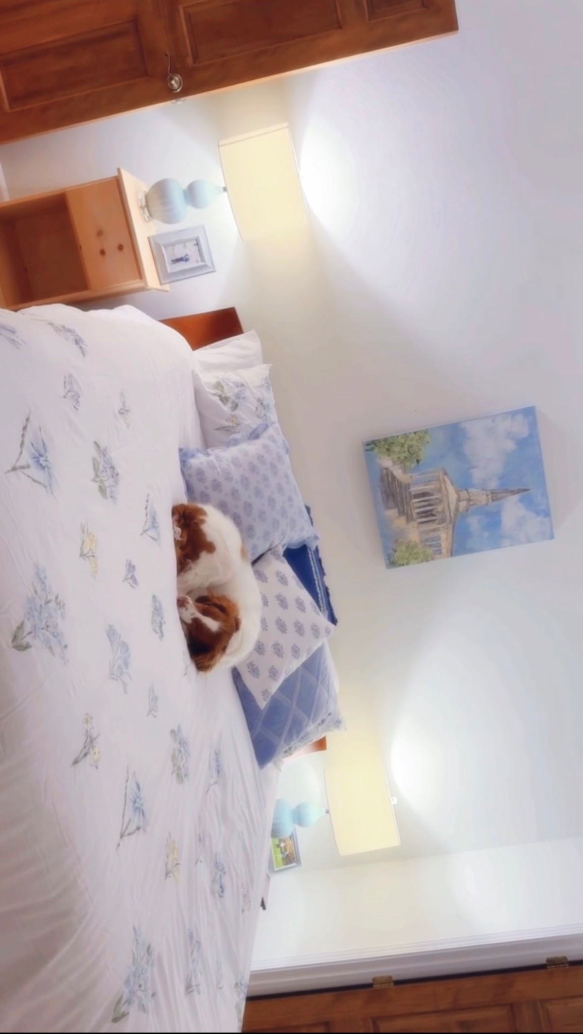 I think it’s safe to say that the new King bed 🛌 & bedding ☁️ is “Red-approved” 🐶🤭🐾