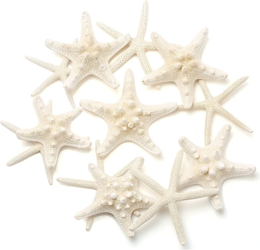 12 PCS Starfish | 2.5-6 Inch Starfish Decor | Natural Bulk Starfish Shells Perfect for Crafts Mak... | Amazon (US)