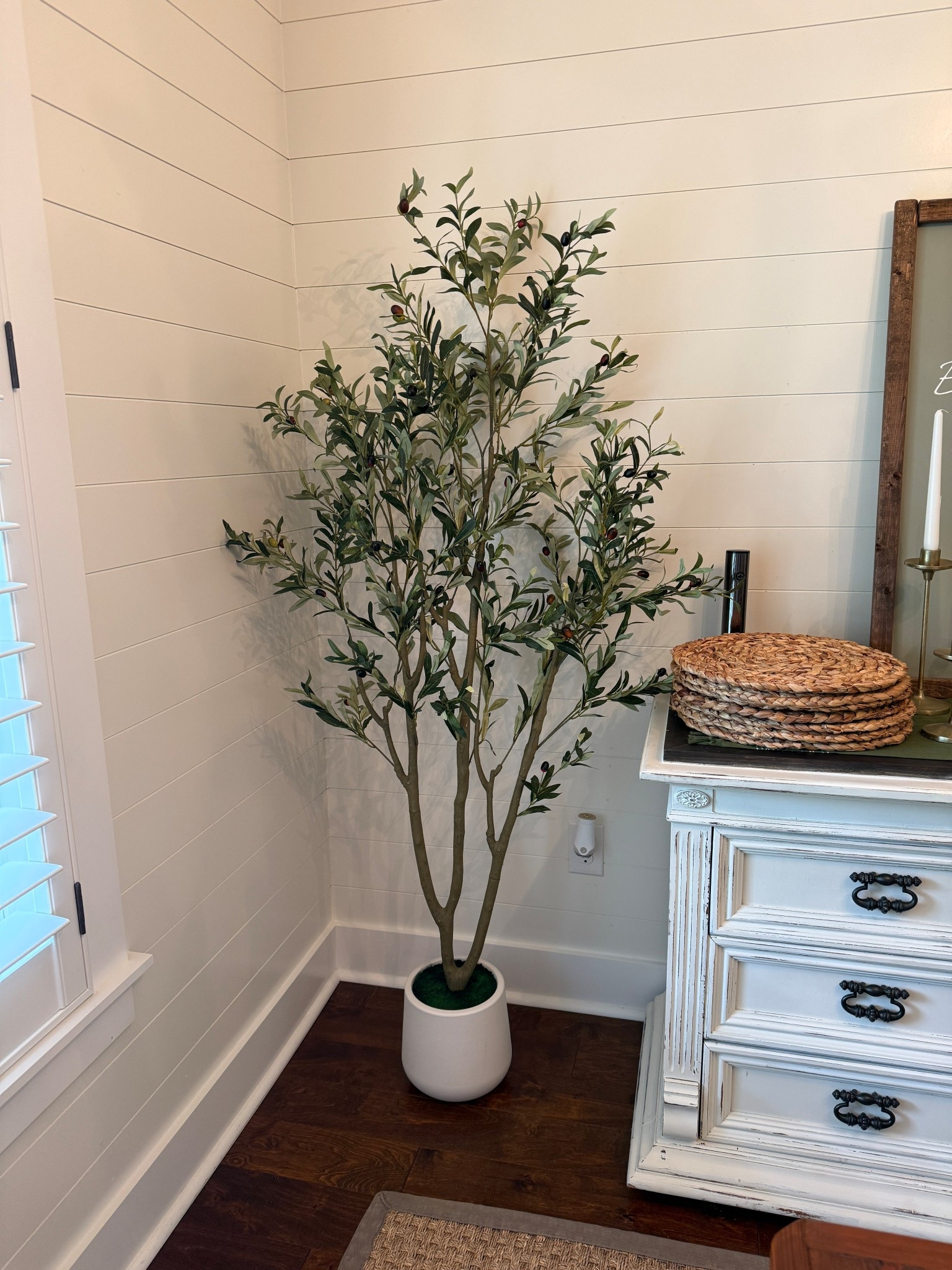 I can’t believe the price of this olive tree that I got!!! It comes with the pot and is under $55!!!!! Sooo good!! 

#LTKHome