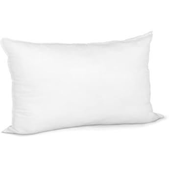 Pillow Insert 20" x 36" Polyester Filled Premium Fabric Cover | Amazon (CA)