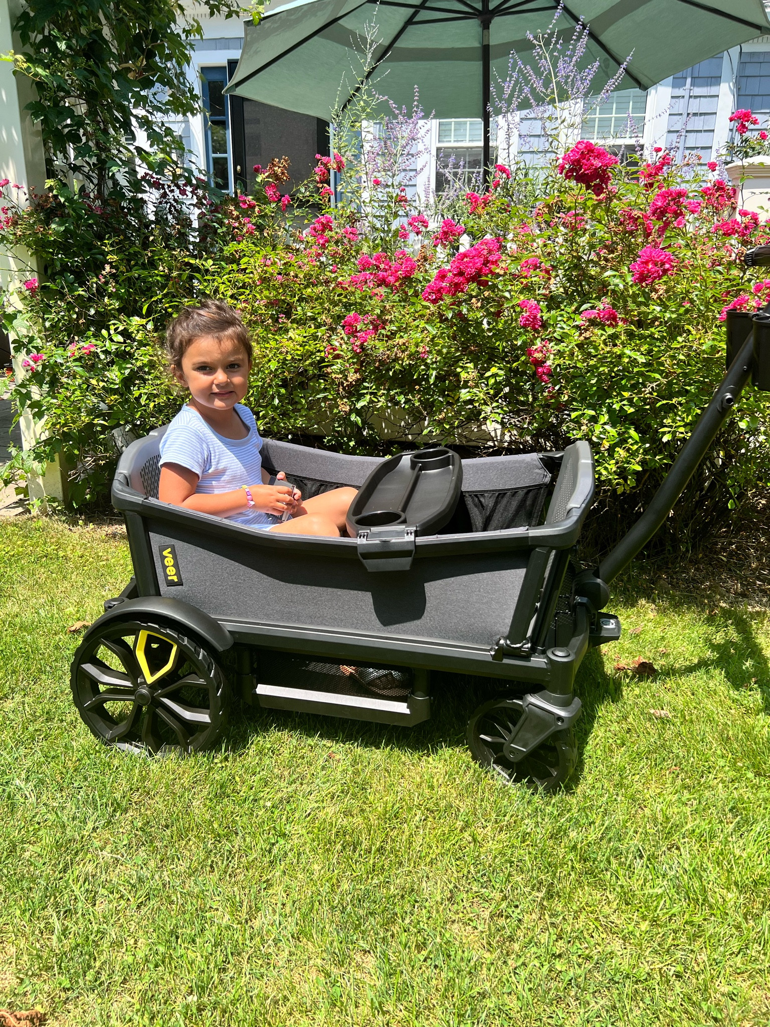 All Terrain Veer Wagon Stroller Veer Cruiser All-Terrain Wagon