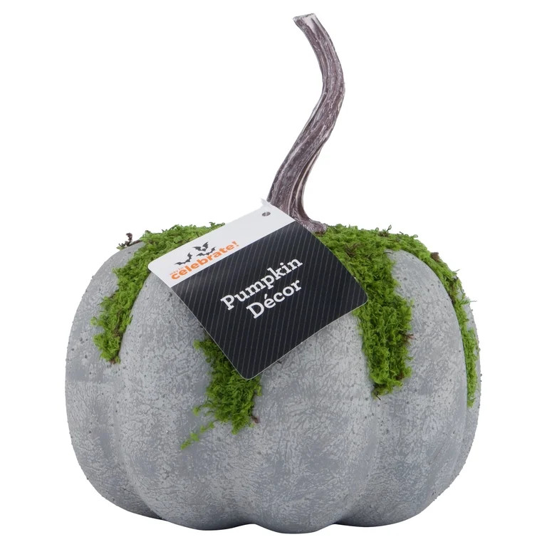 Mossy Pumpkin Decoration, Multicolor, 7", Halloween by Way To Celebrate | Walmart (US)
