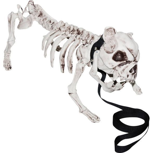 17" Halloween Dog Skeleton | Target