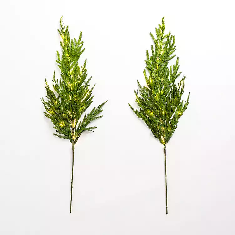 New! Pre-lit Norfolk Tree Stems, Set of 2 | Kirkland's Home
