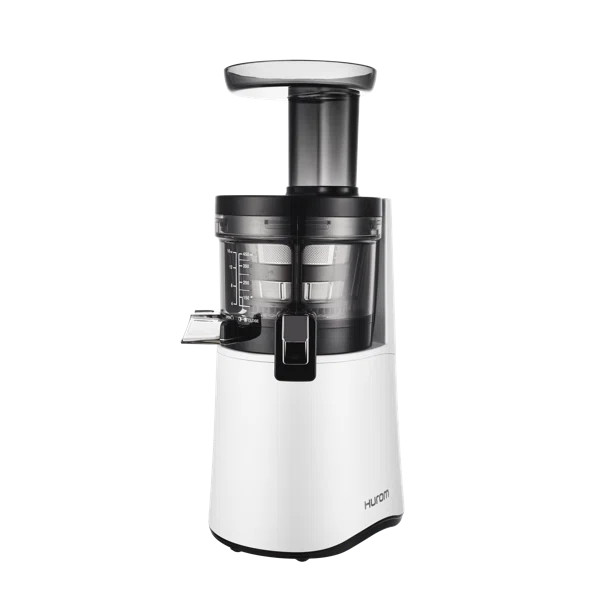 Hurom H-AA Alpha Series Slow Masticating & Cold Press Juicer | Wayfair North America