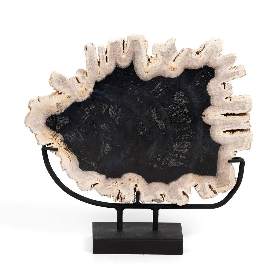 Petrified Wood Sculpture | StyleMeGHD