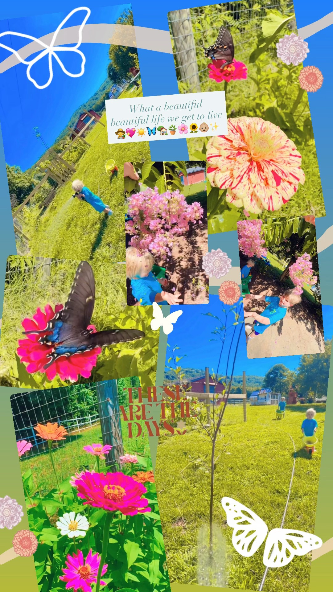 What a beautiful beautiful life we get to live 👩‍🌾💖☀️🦋🏡🪴🌸🌻👶🏼✨