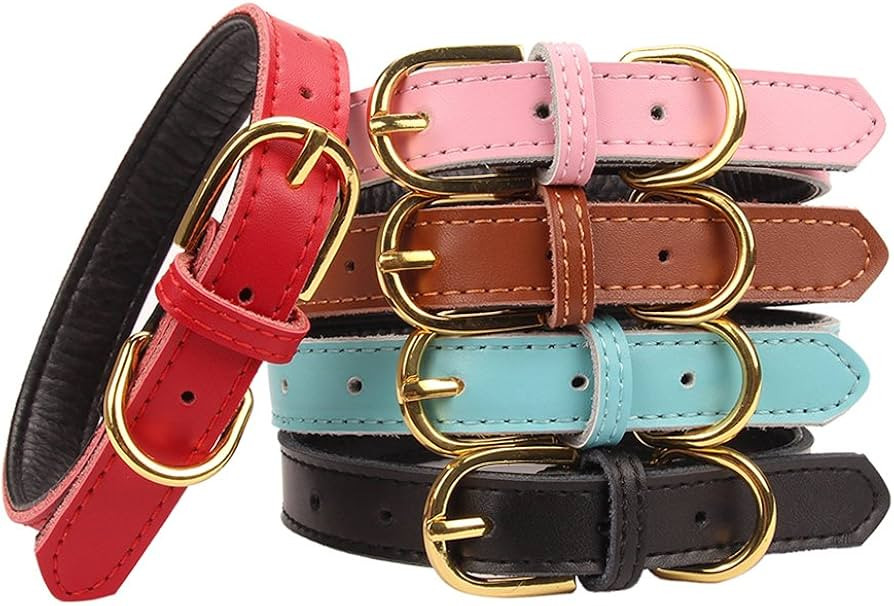 Basic Classic Padded Leather Pet Collars for Cats Puppy Small Medium Dogs (Large, Blue) | Amazon (US)