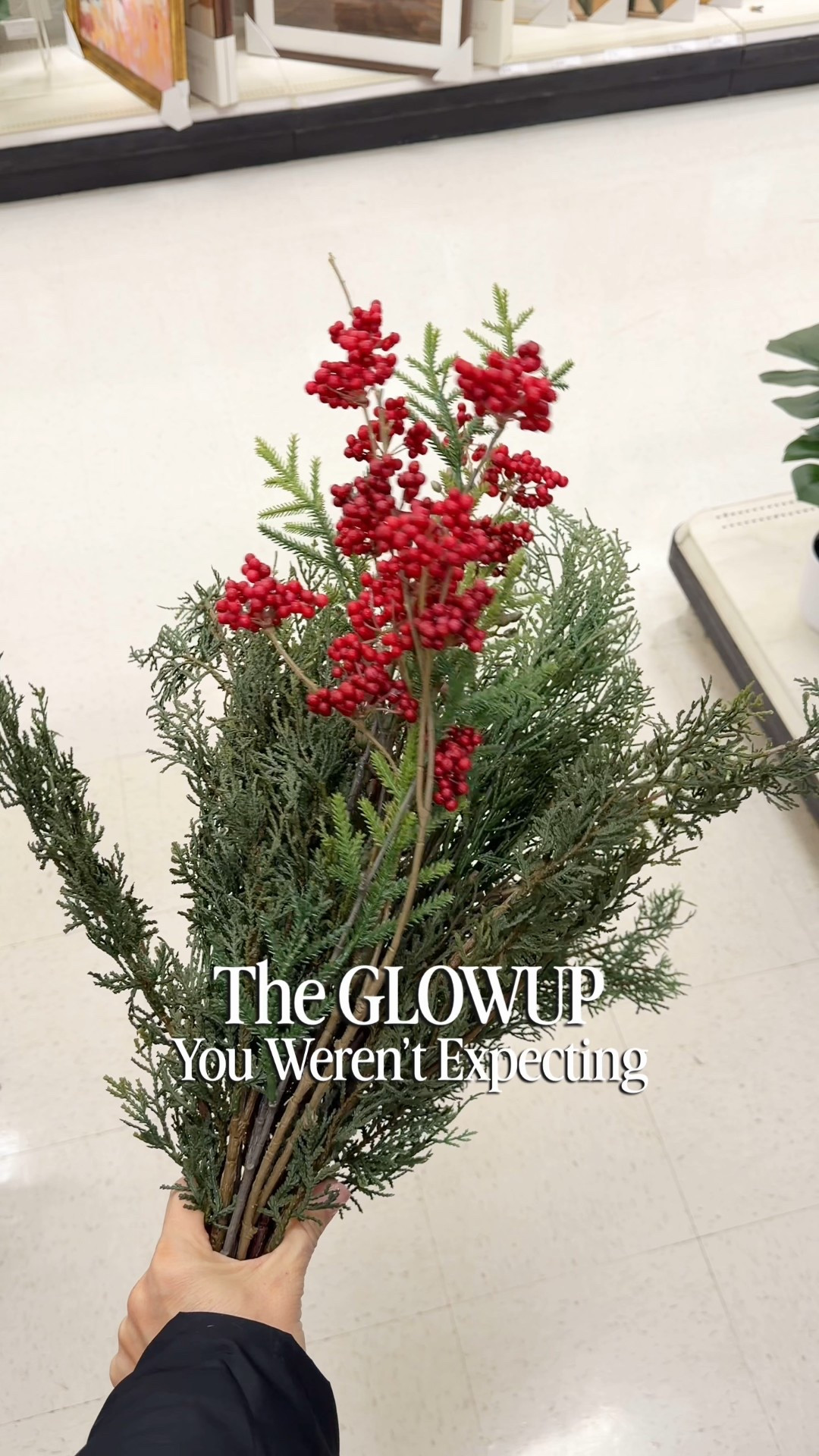 These holiday target stems don’t look like much in store.  But after some furring & arranging you’d never know they were only $25! 

Christmas decor, holiday decor, Christmas, stem, cedar, pine, Norfolk, berry, target, threshold, hearth and hand, Magnolia, Joanna, Gaines, home decor

#LTKHome #LTKFindsUnder50 #LTKHoliday