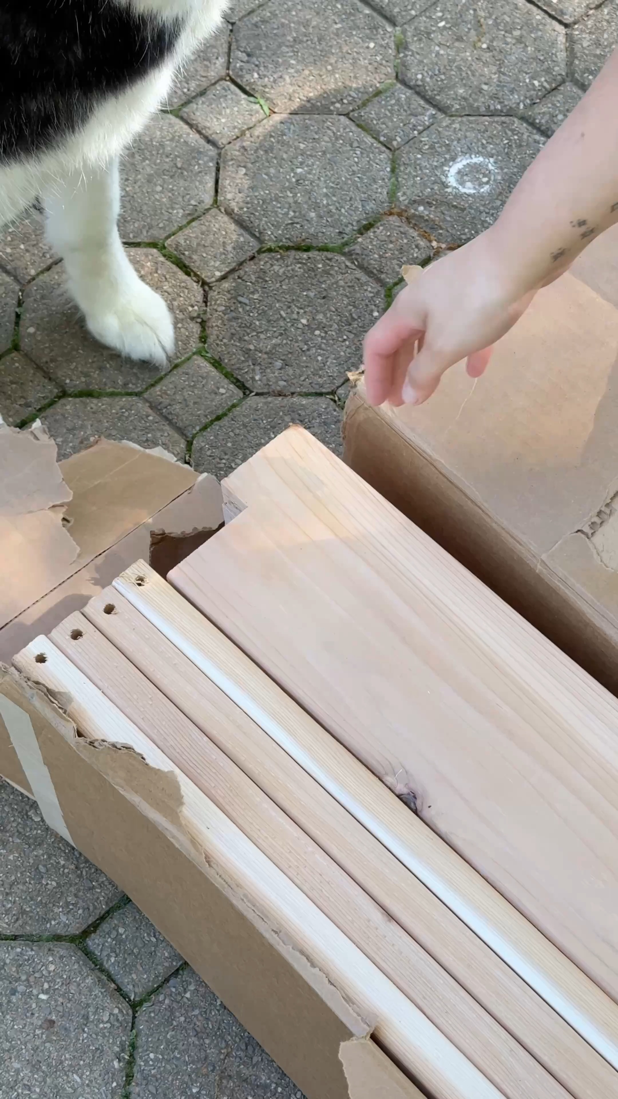 I built these raised garden beds to make my backyard actually work—more organized, easier to maintain, and way more beautiful. This beginner-friendly DIY is perfect if you want a functional garden without overcomplicating it or overspending.  

 #LTKSeasonal #LTKHome #LTKSaleAlert