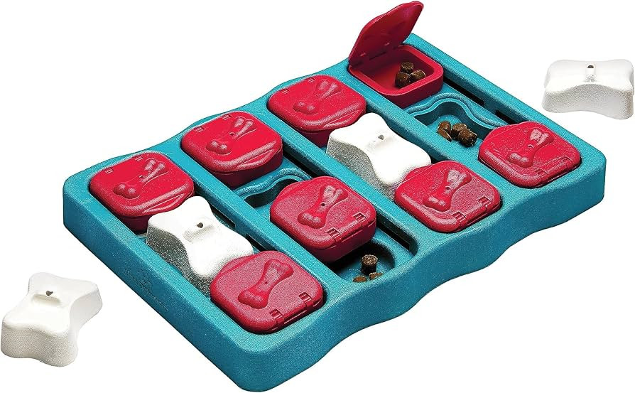 Outward Hound Nina Ottosson Dog Brick Dog Puzzle Interactive Treat Puzzle Dog Enrichment Dog Toy,... | Amazon (US)