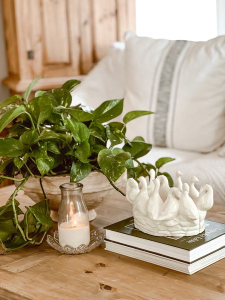I found this swan planter while antiquing but I did round up some of my favorite antique swan planters from Etsy for you. You can also use them as a candle holder too! 🦢 

#LTKhome #LTKSeasonal #LTKGiftGuide