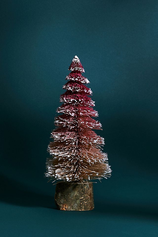 Frosted Bottle Brush Tree | Anthropologie (US)