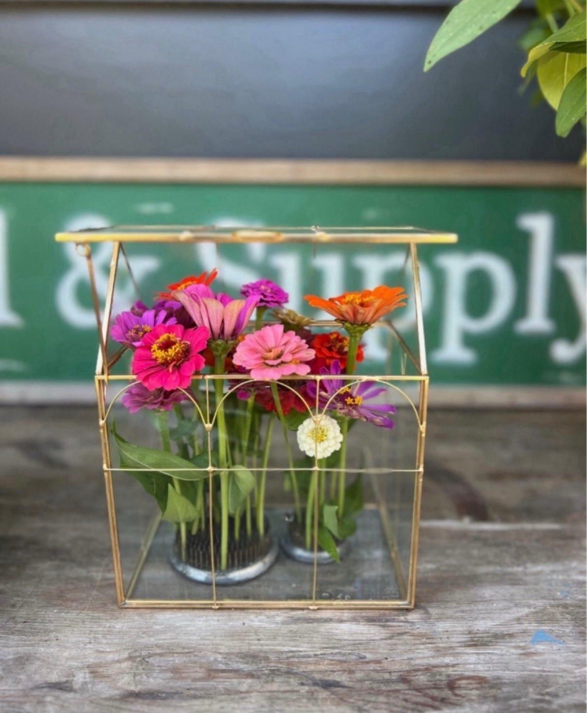 Gardeners, get ready for flower arranging season! Last year, I used this gold terrarium and fresh-cut zinnias from my garden to create the prettiest arrangement!

While waiting for spring blooms, this is perfect for displaying dried flowers too! Such a great way to showcase the beauty of your garden year-round.



#LTKHome #LTKU #LTKSeasonal