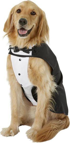 FRISCO Formal Dog & Cat Tuxedo, Black, XX-Large - Chewy.com | Chewy.com