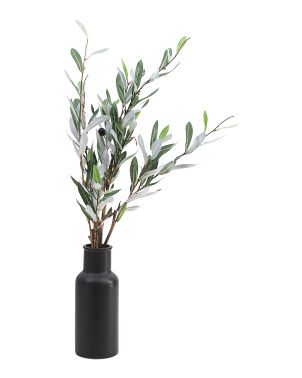30in Olive Branch In Matte Ceramic Bottle | TJ Maxx