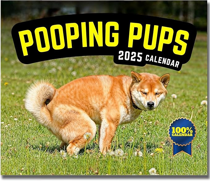 Pooping Pups Funny White Elephant Gifts for Adults - Dog Pooping Calendar 2025 - Silly Office Gif... | Amazon (US)
