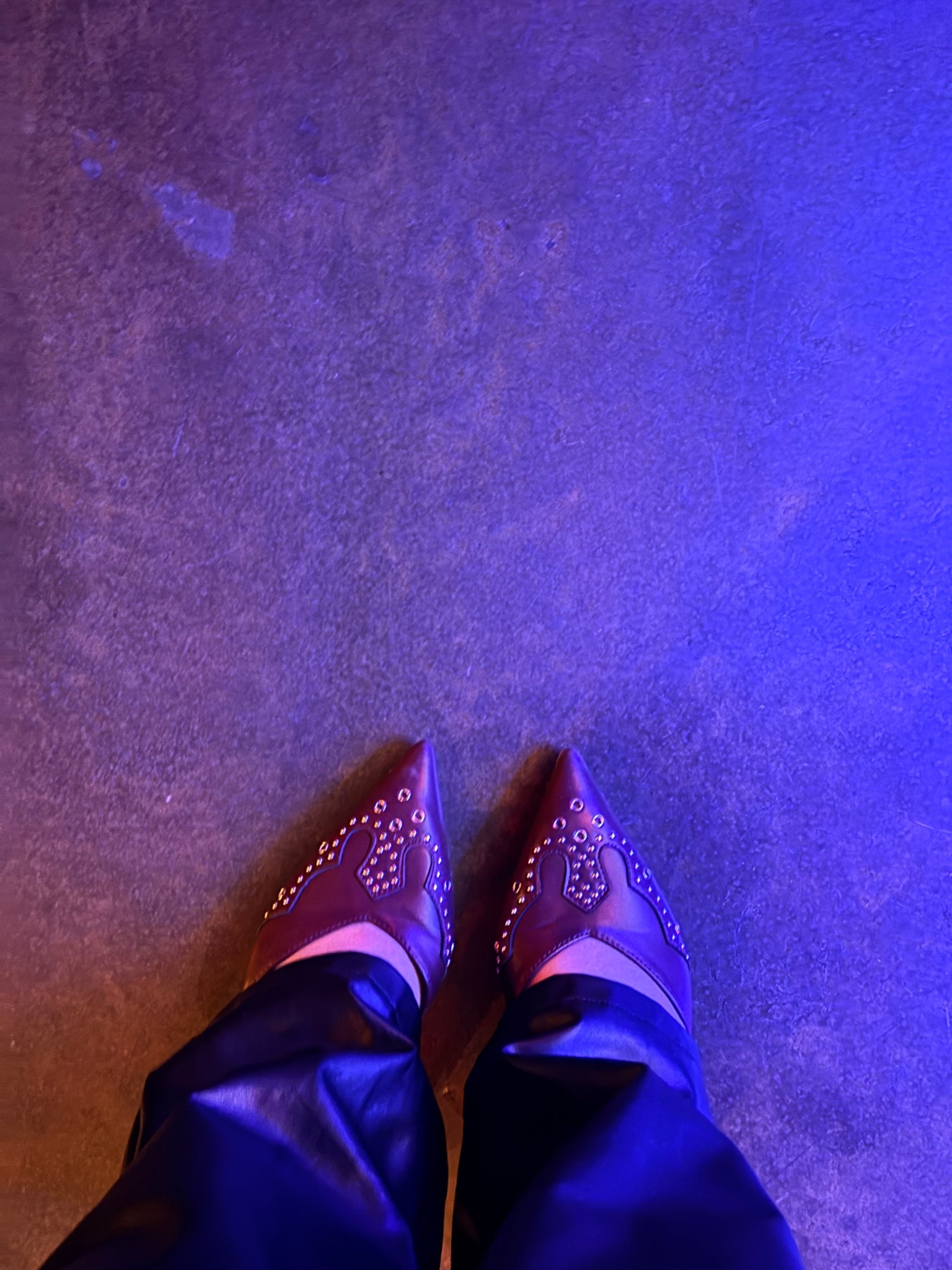 I’m in my rodeo girl era! Starting with these cute Windsor western themed kitten heels. 🤠

#LTKgrwm #LTKootd #LTKSeasonal