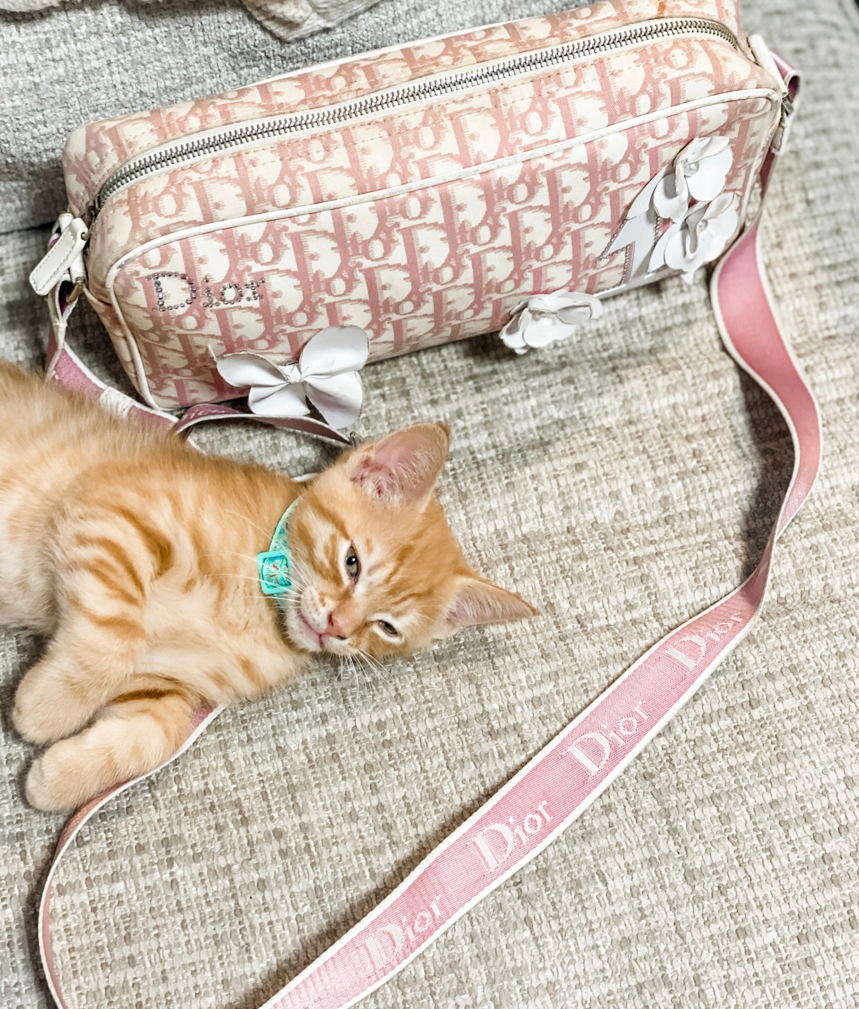 Vintage Dior crossbody bag
Vintage designer bags deals
Y2k vintage bags
eBay designer finds
Y2k girly mcbling 

#LTKFind #LTKitbag #LTKstyletip