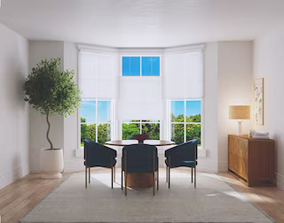 Budget Cordless Light Filtering Cellular Shades | Blinds.com