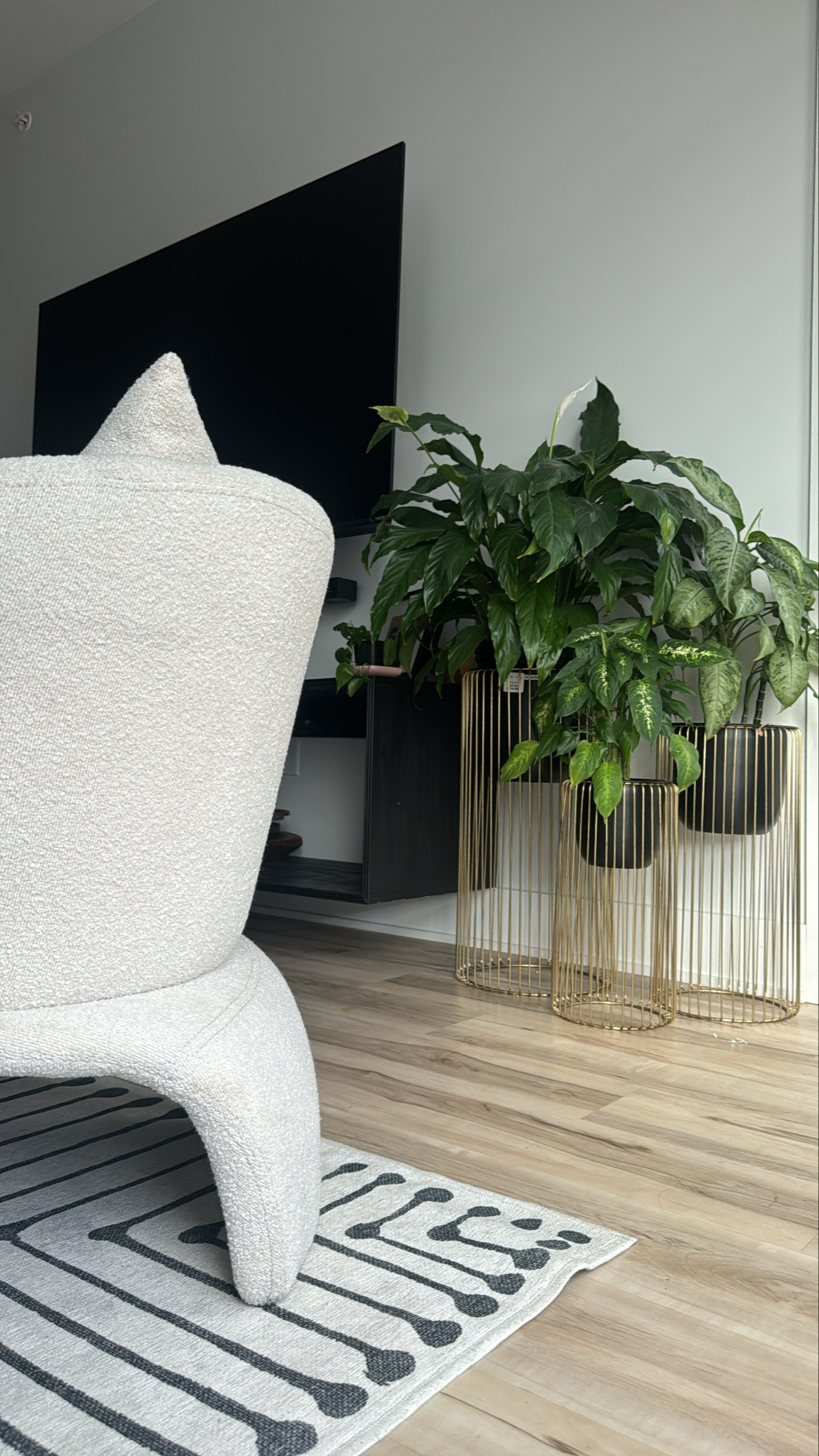 cozy mornings at home..#home #homedecor #plants #decors #styletipsathome #amazonfinds

#LTKFamily #LTKHome