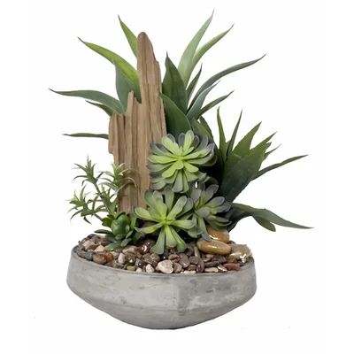 Faux Succulent Gardent II Desk Top Plant in Pot | Wayfair North America