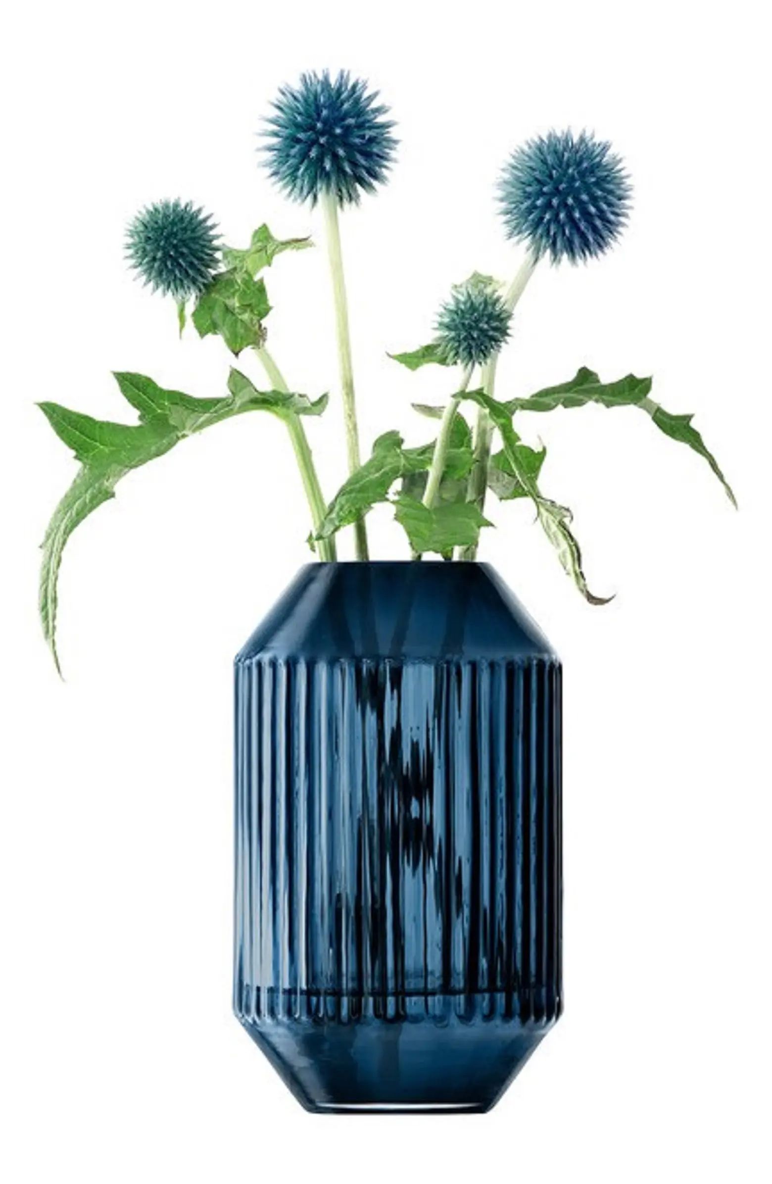 Rotunda Vase | Nordstrom
