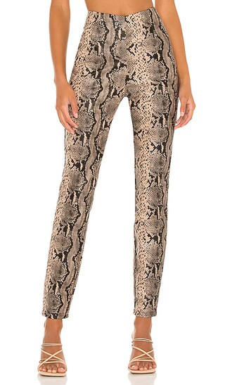 Donna Snake Pant in Brown Snake | Revolve Clothing (Global)