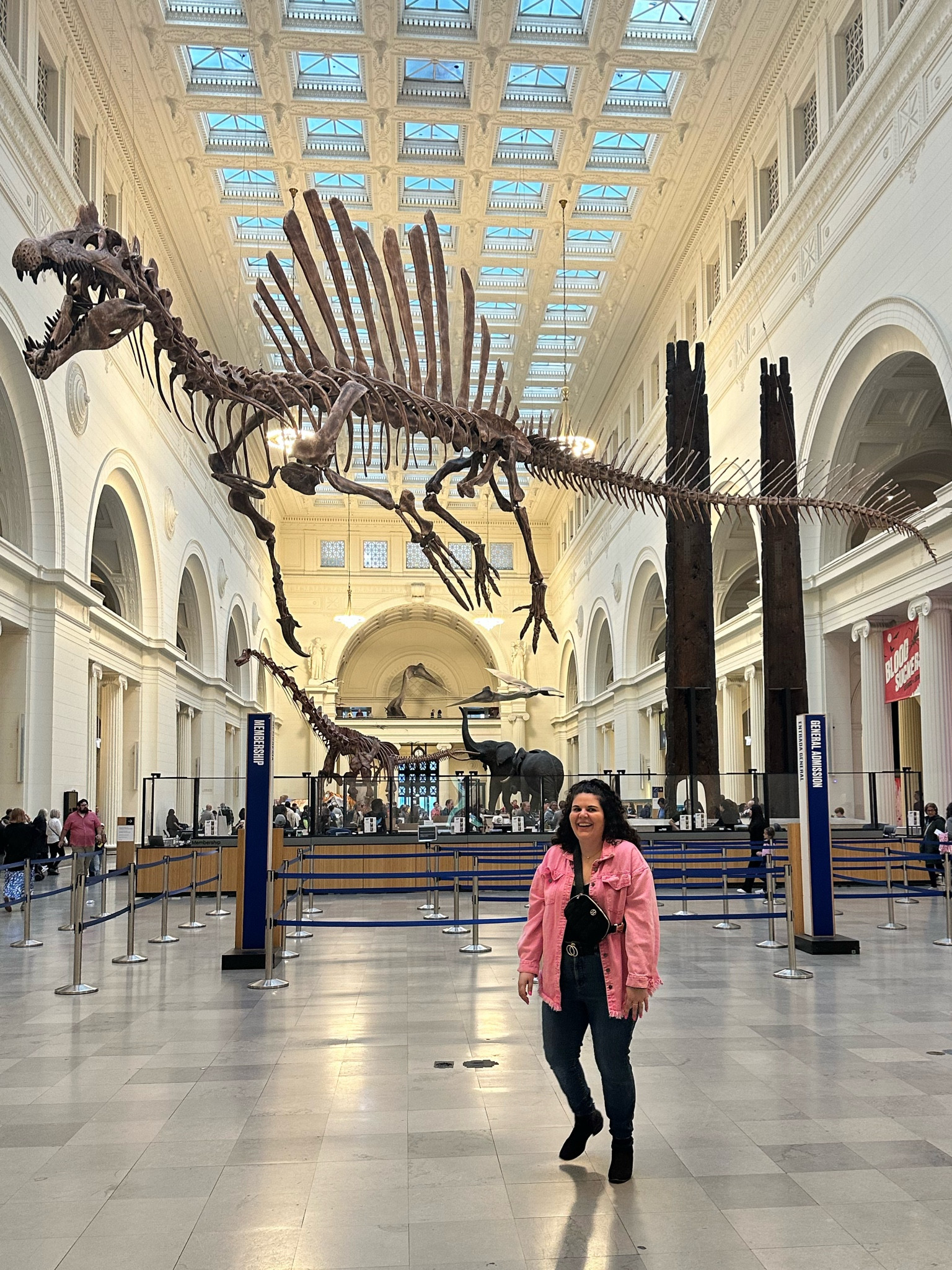 Welcome to Jurassic Park



#LTKStyleTip #LTKMidsize #LTKFindsUnder50