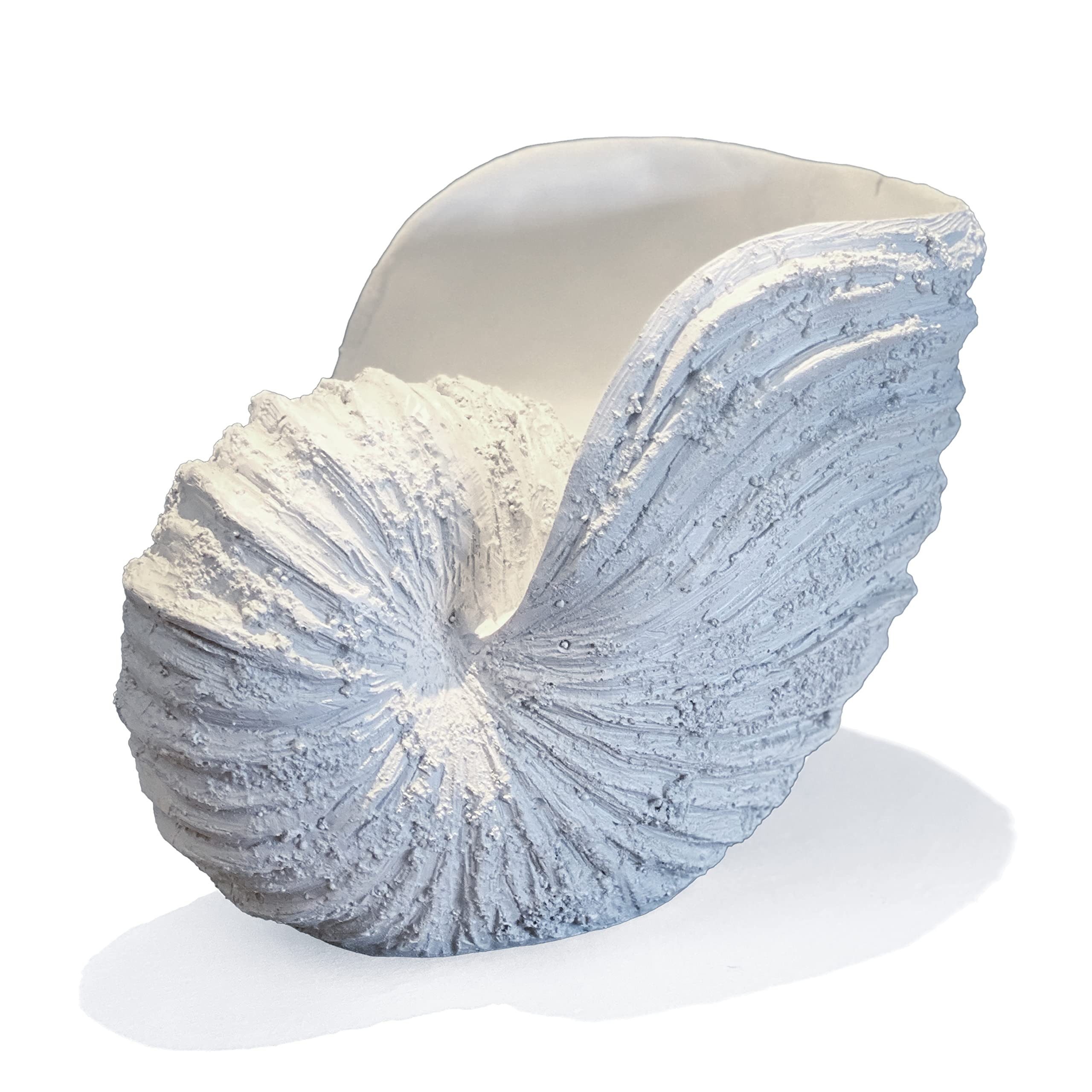 Nautilus Shell Sculpture - Replica Beach Themed Ocean Decor for Home - Rustic White Resin 10¼" x... | Amazon (US)