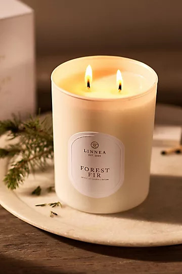 Linnea Candle, Forest Fir | Anthropologie (US)