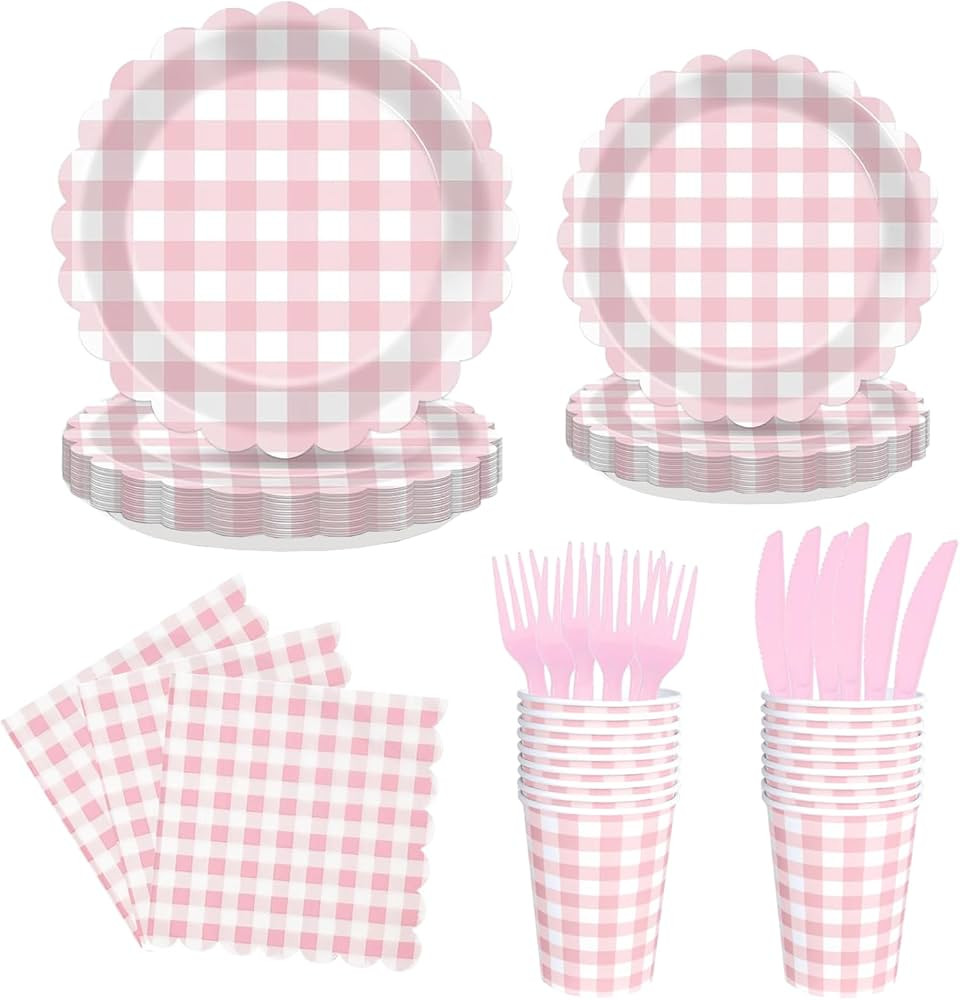 144pcs Pink Paper Plates and Napkins, Pink Gingham Party Tableware Set Party Supplies with Checke... | Amazon (CA)