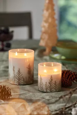 Linnea Gilded Fern Candle, Forest Fir | Terrain