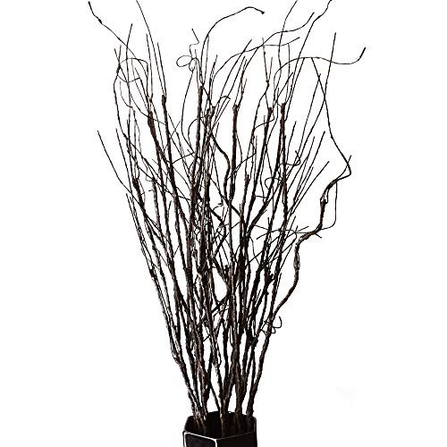 10PCS Lifelike Curly Willow Branches Decorative Dried Artificial Twigs, 30.7 Inches Fake Bendable... | Amazon (US)