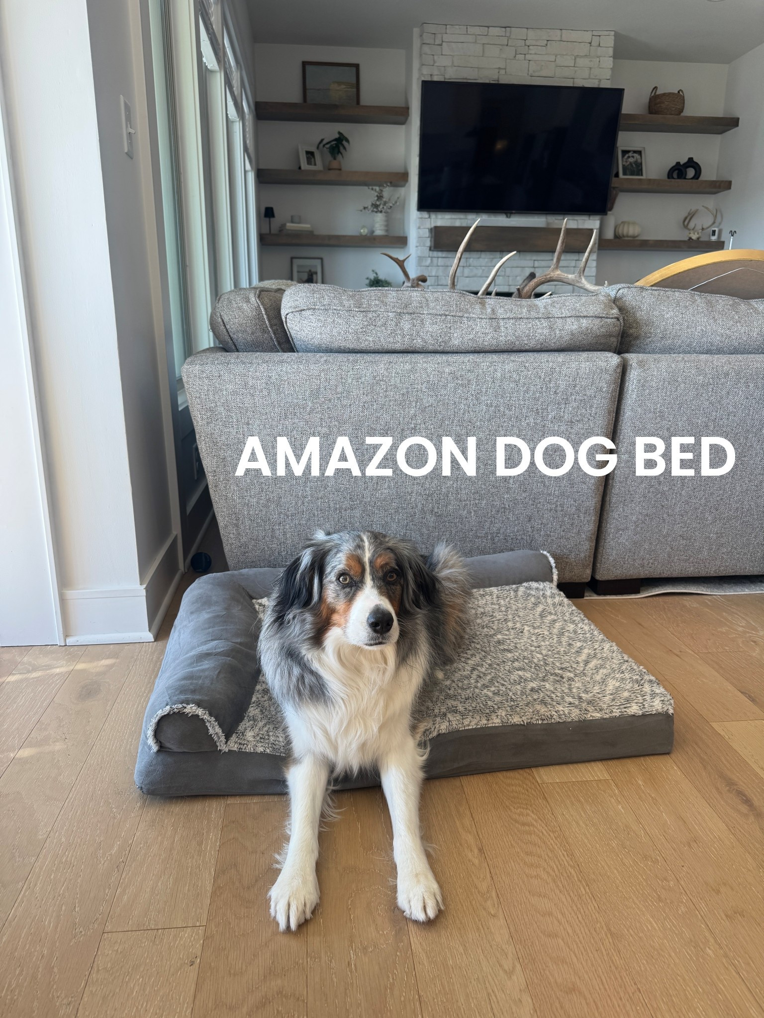 Love this Amazon dog bed! Koda is about 60 lbs and fits perfectly on the large size. Despite how he’s laying here 😂 

Home / pets / dog recs / Amazon finds / Australian shepherd 