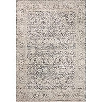 Loloi Amber Lewis x Loloi Alie Collection ALE-05 Charcoal/Beige 5'-3" x 7'-9", 0.13" Thick Area R... | Amazon (US)