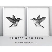 2 Piece Hummingbird Print, Bird Art, Wall Minimalist, Black & White Drawing, Illustration Stipple Po | Etsy (US)