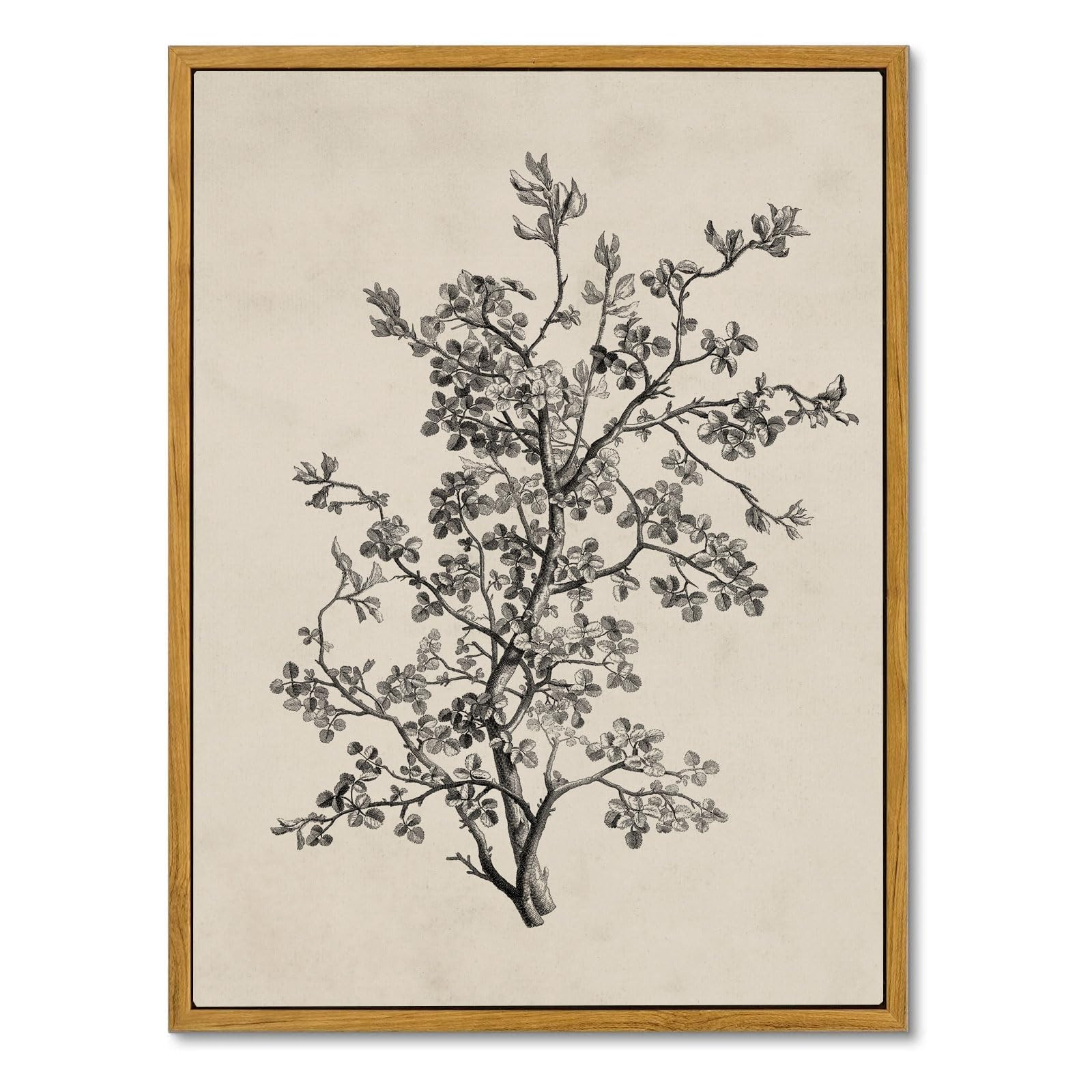 MOXELART Framed Vintage Wall Art Home Decor, Minimalist Botanical Wall Art Decor for Living Room,... | Amazon (US)
