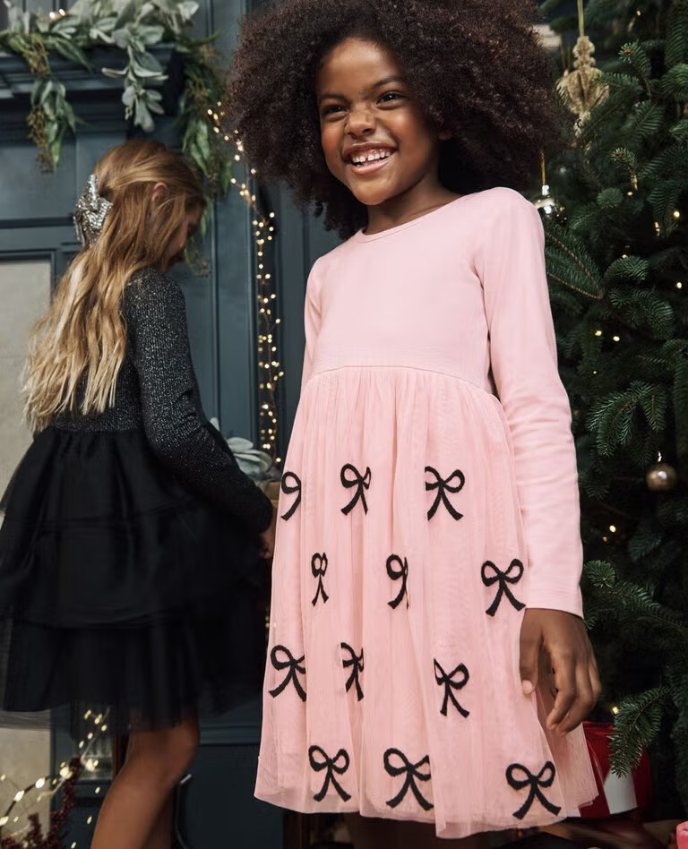 Long Sleeve Tulle Embroidered Skater Dress | Hanna Andersson