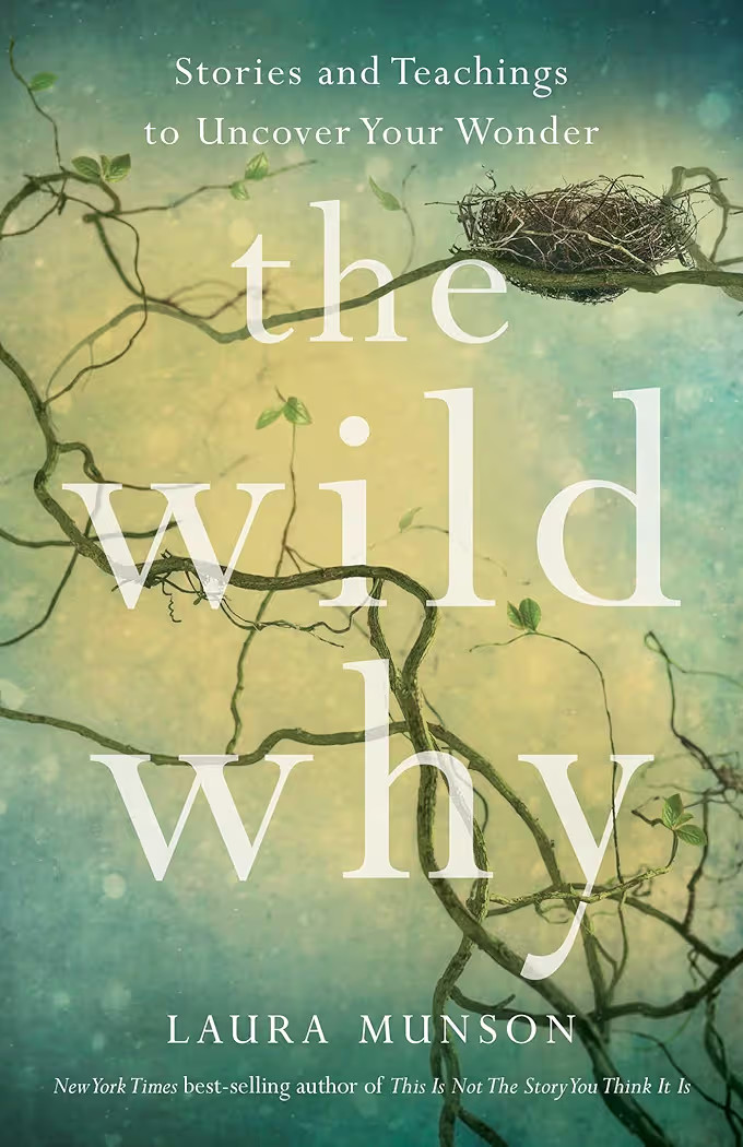 The Wild Why: Stories and Teachings to Uncover Your Wonder | Amazon (US)