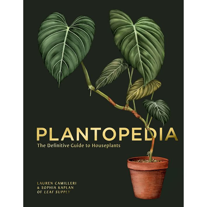 Plantopedia | West Elm (US)