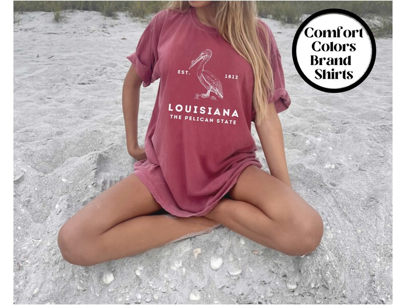 Louisiana Shirt, Comfort Colors Shirt, Louisiana Tshirt, Louisiana Tee, Louisiana Gift, House War... | Etsy (US)