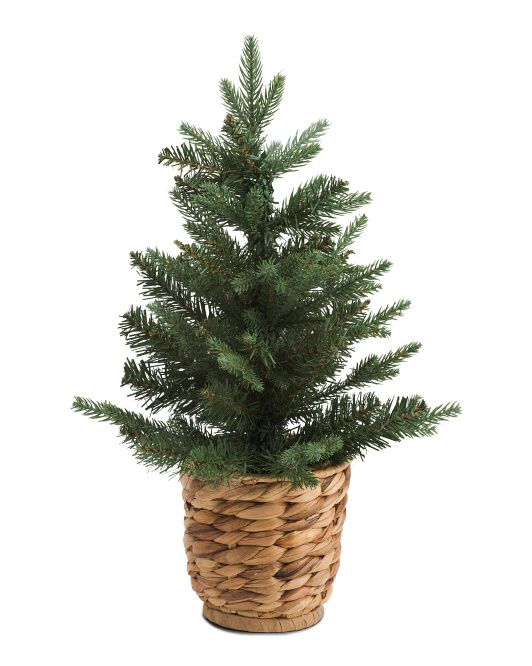 17in Tree In Woven Footed Basket | Plants & Planters | Marshalls | Marshalls